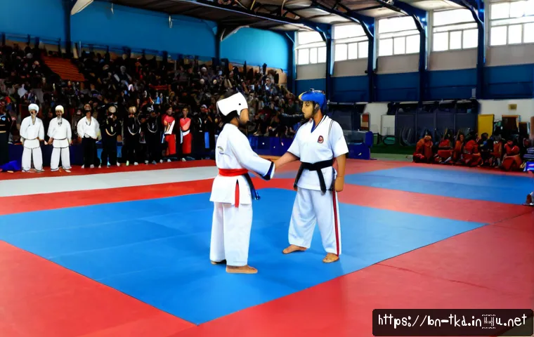 태권도 이벤트 개최 방법 관련 이미지 1
